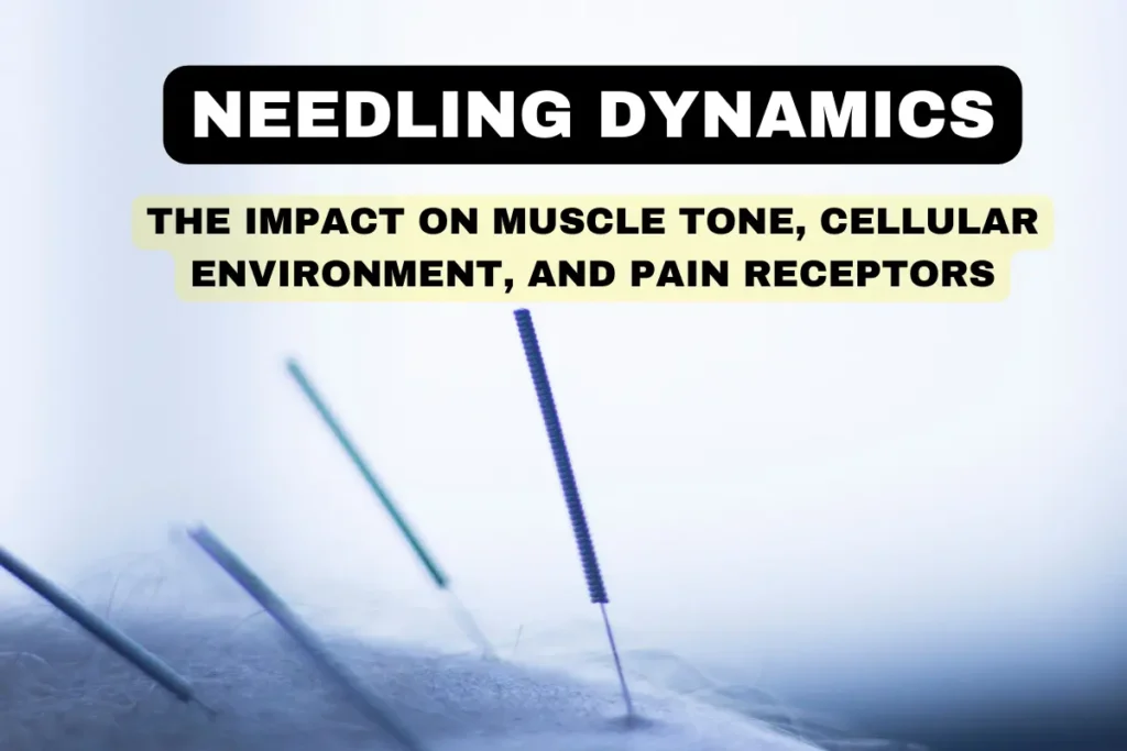Needling Dynamics